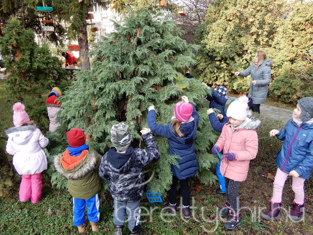 Fenyődíszítés a kórházban 06